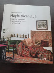 Magia divanului. Imagini si convorbiri despre spatiu si cadru in psihanaliza foto