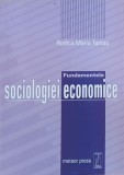Carte Fundamentele sociologiei economice - Rodica Maria Tantau