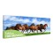 Tablou fosforescent Cai salbatici - 90 cm x 30 cm