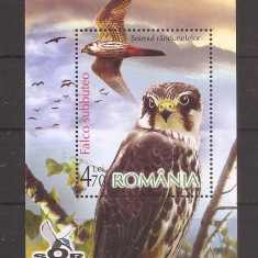 ROMANIA 2007, lp. 1761 - PASARI DE PRADA, COLITA, MNH