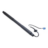 Amortizor Portbagaj Electric 155817 100173