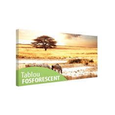 Tablou fosforescent Savana foto