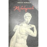 Stefan Popescu - Michelangelo (Editia: 1969)