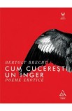 Cum cuceresti un inger. Poeme erotice - Bertolt Brecht