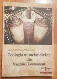 Teologia numelor divine din Vechiul Testament Prilipceanu