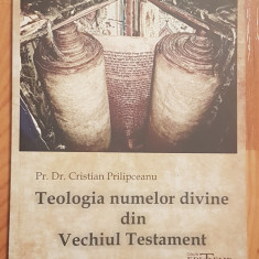 Teologia numelor divine din Vechiul Testament Prilipceanu