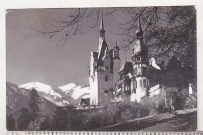 bnk cp Sinaia - Muzeul Peles - circulata foto