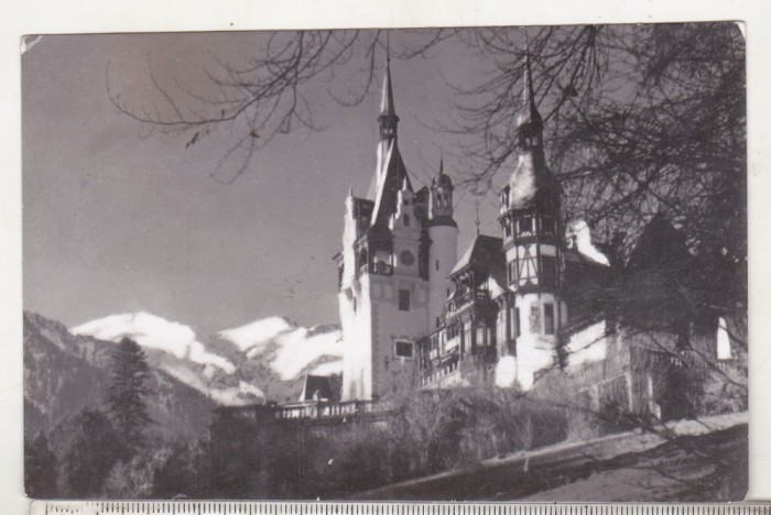 bnk cp Sinaia - Muzeul Peles - circulata