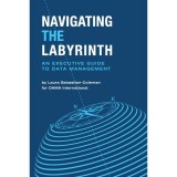 Navigating the Labyrinth: An Executive Guide to Data Management