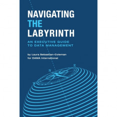 Navigating the Labyrinth: An Executive Guide to Data Management