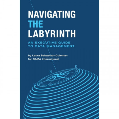 Navigating the Labyrinth: An Executive Guide to Data Management foto
