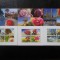 ONU,SET COMPLET MAXIME -NEW YORK,GENEVA,VIENA-ANUL 2010-SPECII IN PERICOL