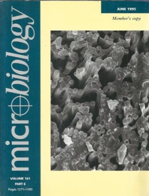 Micriobiology - june 1995 foto