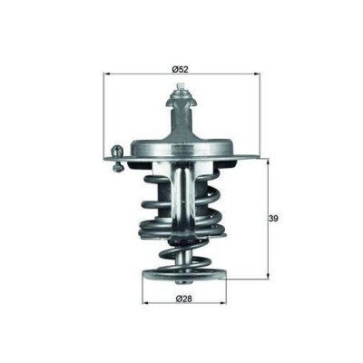Mahle termostat, lichid racire Behr foto