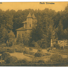 5232 - PITESTI, Trivale Park, Romania - old postcard, CENSOR - used - 1917