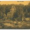 5232 - PITESTI, Trivale Park, Romania - old postcard, CENSOR - used - 1917