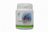 CONDROFLEX 150CPS