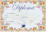 Diploma D2 2025