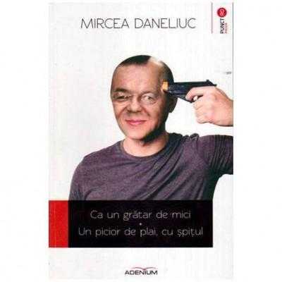 Mircea Daneliuc - Ca un gratar de mici - Un picior de plai, cu spitul - 108111 foto