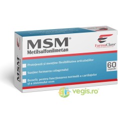 MSM (Metilsulfonilmetan) 60cps