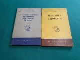 LOT 2 CĂRȚI GALVAOTEHNICĂ : ZINCAREA ȘI CADMIEREA, GALVANOTEHNICA METALELOR *25