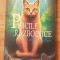 Pisicile razboinice. In inima padurii de Erin Hunter (Vol. 1)