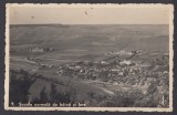 Carte Postala - Romania Piatra Neamt - Scoala normala de baieti si fete