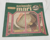 Carte ilustrata povesti pentru copii ANIMALE MARI SI MICI