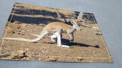 CARTE POSTALA AUSTRALIA NECIRCULATA foto