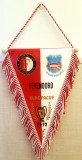Fanion Dinamo