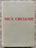 Cumpara ieftin Mica Circulatie - L. Kleinerman, C. Velican, Editura Academiei, 1959, Anatomie, Medicina, Romana, Carte Veche