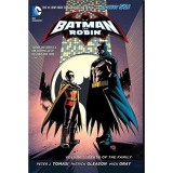 Batman &amp; Robin Vol. 3