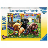 Cumpara ieftin PUZZLE CATEI LA PICNIC, 100 PIESE, Ravensburger