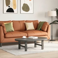 vidaXL Picioare pentru măsuță de cafea antracit, 2 buc., 50x(30-31) cm, oțel 4013262
