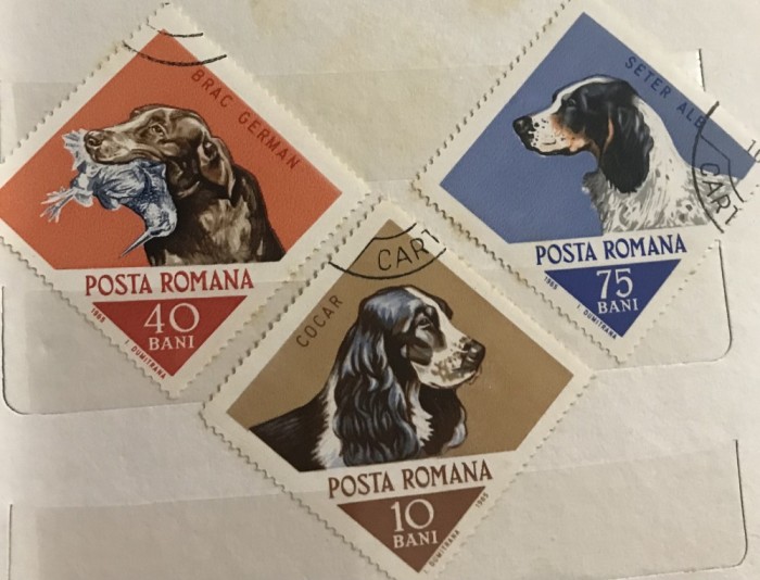Timbre Serii Romania Caini de vanatoare