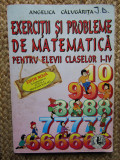 EXERCITII SI PROBLEME DE MATEMATICA PENTRU ELEVII CLASELOR I-IV - CALUGARITA