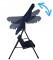 icon 6