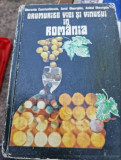 Gherasim Constantinescu, Aurel I. Gheorghiu, Anibal I. Gheorghiu - Drumurile viei si vinului in Romania