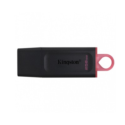 Kingston - Memory Stick DT Exodia (DTX/256GB) - USB 3.2 FlashDrive, 256GB - Black foto