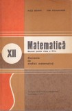 Matematica. Manual pentru clasa a XII-a. Elemente de analiza matematica (1994)