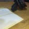 Cablu Alimentare Laptop 3p 1.7m #A7050