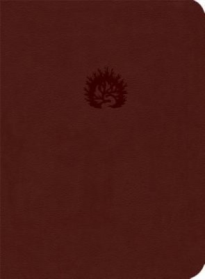 Reformation Study Bible-ESV foto