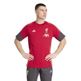 FC Liverpool tricou de bărbați Tiro Tee red - S