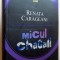MICUL CHAGALL de RENATA CARAGEANI , 2013