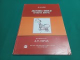 ANATOMIA OMULUI *APARATUL GENITAL / G. LUPU / 2007 *19