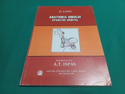 ANATOMIA OMULUI *APARATUL GENITAL / G. LUPU / 2007 *19 foto
