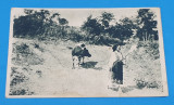 Carte Postala veche anii 1930 - Taranca in costum popular cu Vaca la pascut, Circulata, Sinaia, Printata