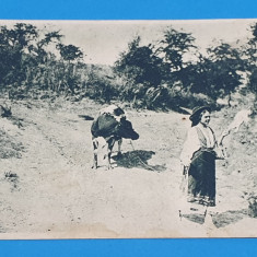 Carte Postala veche anii 1930 - Taranca in costum popular cu Vaca la pascut