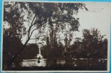 Carte Postala, Bucuresti, Gradina Cismigiu, 1951
