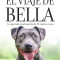 El Viaje de Bella. El Regreso a Casa 2 / A Dog&#039;s Courage: A Dog&#039;s Way Home